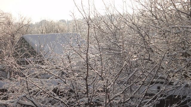 В ряде поселений Бавлинского района низкие показатели сбора налогов