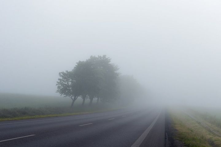 МЧС: во время тумана необходимо увеличить дистанцию на дорогах