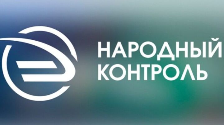 Бавлинцы пользуются системой «Народный контроль»