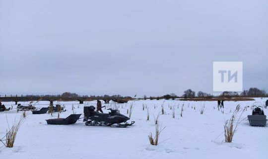 В Татарстане спрогнозировали вымирание рыбы в водоемах