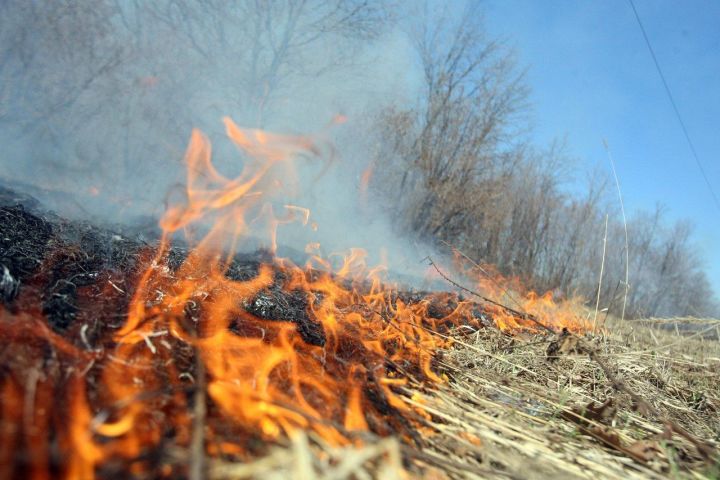 В Бавлинских лесах установилась высокая пожароопасная ситуация