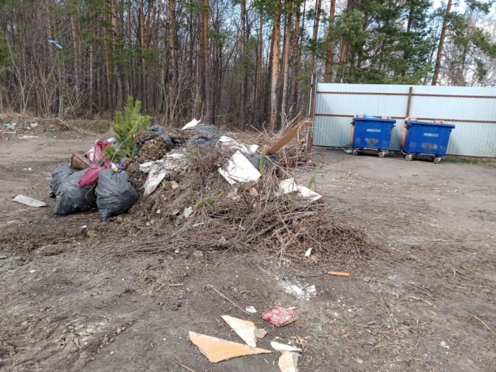 Бавлинцы создают пожароопасные свалки