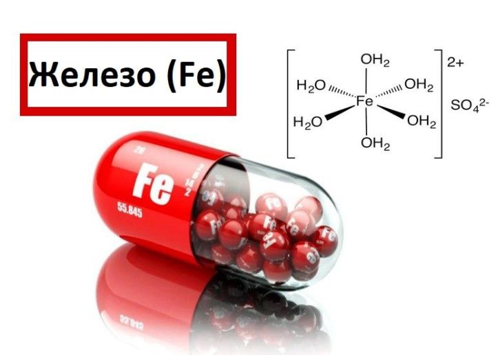 Когда железо в организме лишнее