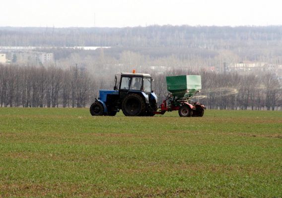 В Бавлинском районе приступили к подкормке озимых культур