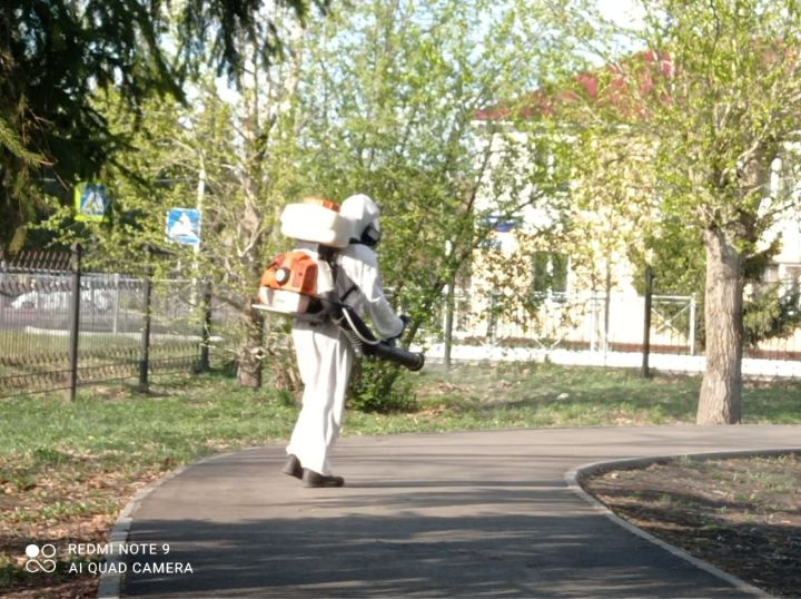 В Бавлах все городские парки обработали от клещей