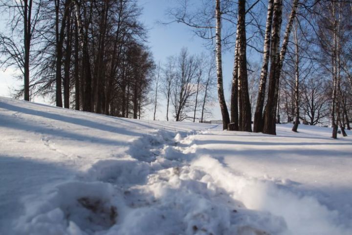 Народные приметы на 31 января: скоро ли наступит весна