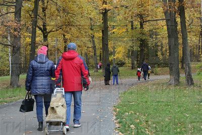 Портрет среднестатистического безработного в РТ – женщина старше 40 лет