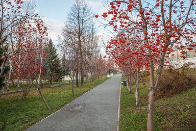 Завтра, 19 октября, в Бавлах сохранится дождливая погода