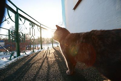 В ближайшие выходные в Татарстане ожидается до 7 градусов мороза