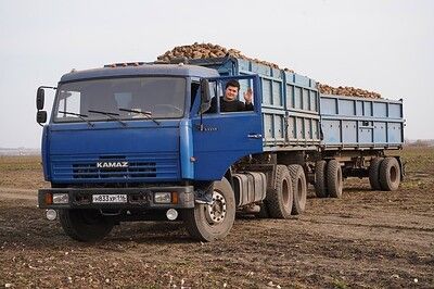 Татарстан произведет сахара в 2,5 раза больше, чем требуется населению