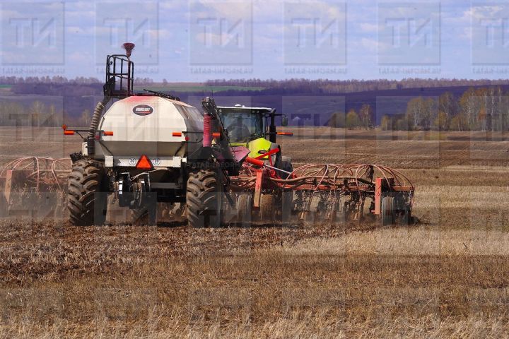 Правительство РФ продолжит программу льготного кредитования аграриев