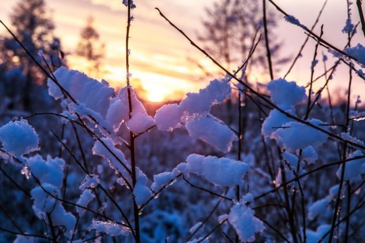 Народные приметы на 14 февраля: каким будет март