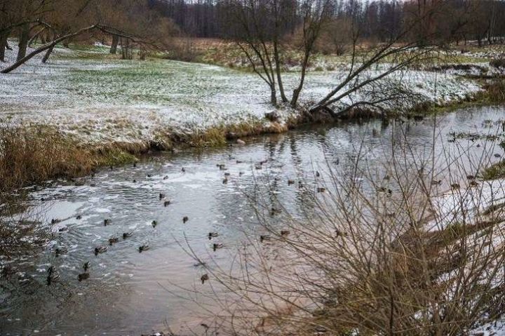 Народные приметы на 26 февраля: определяем погоду на весну