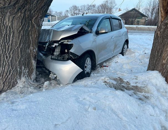 В поселке Карабаш Бугульминского района автомобиль влетел в дерево