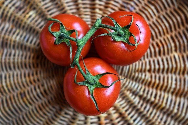 Чем подкормить томаты после пересадки, чтобы получить богатый урожай: дачный секрет