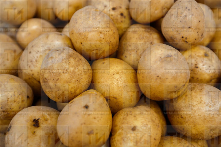 В республике на 15 процентов снизились цены на картофель