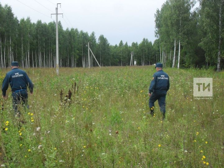 Противопожарное опахивание полей необходимо