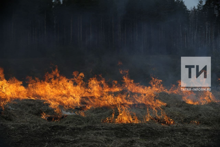 Штормовое предупреждение о сохранении чрезвычайной пожарной опасности лесов на территории Республики Татарстан