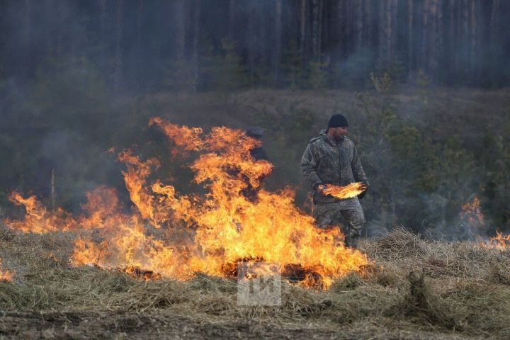 Под Лениногорском на видео засняли полыхающие поля