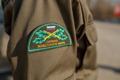 В Татарстане хотят увеличить штраф за нарушение правил охоты
