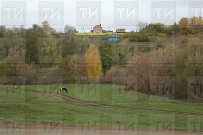 В Бавлинском районе завтра, 9 сентября, ожидается ветреная погода