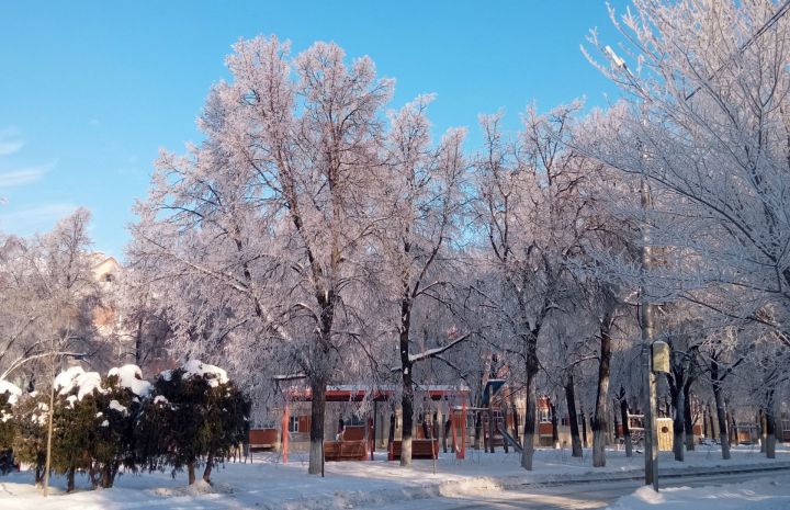 Завтра днем в Бавлах температура воздуха составит -14 градусов