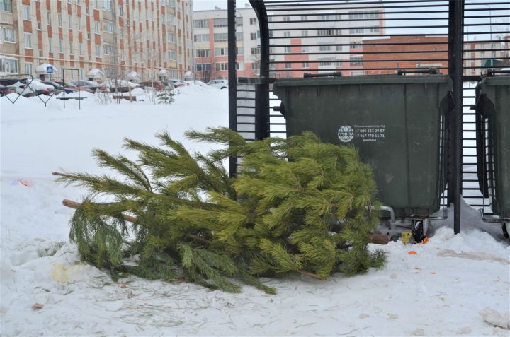 Соблюдаем чистоту: новогодние ёлочки «уходят» из домов