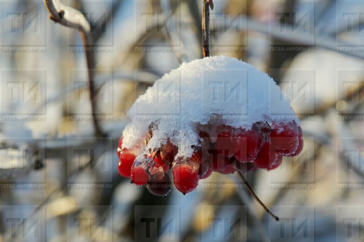 В Бавлах в выходные будет морозная погода