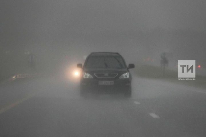 МЧС предупреждает об опасности во время тумана