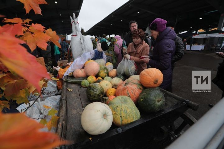 На сельхозярмарках татарстанские фермеры реализовали продукцию на сумму 789 млн рублей