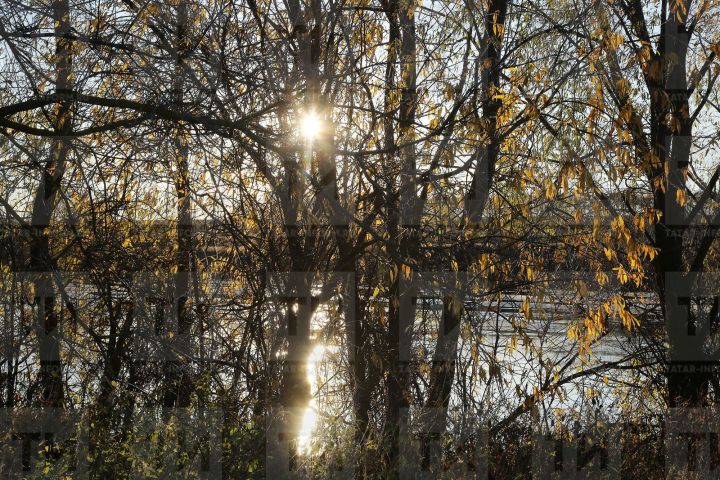 15 ноябрьгә сынамышлар