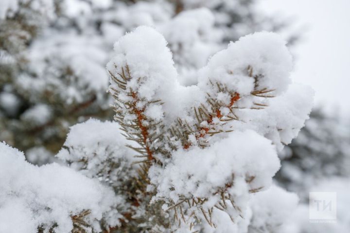 Синоптики: Снежный покров в Татарстане образуется в конце ноября