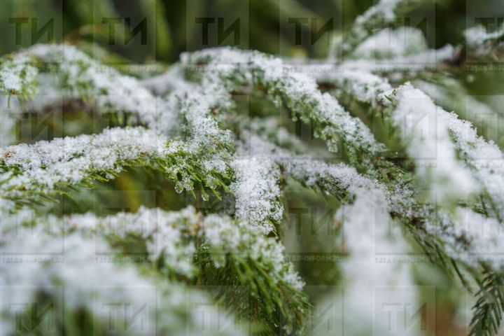 12 декабрьгә сынамышлар