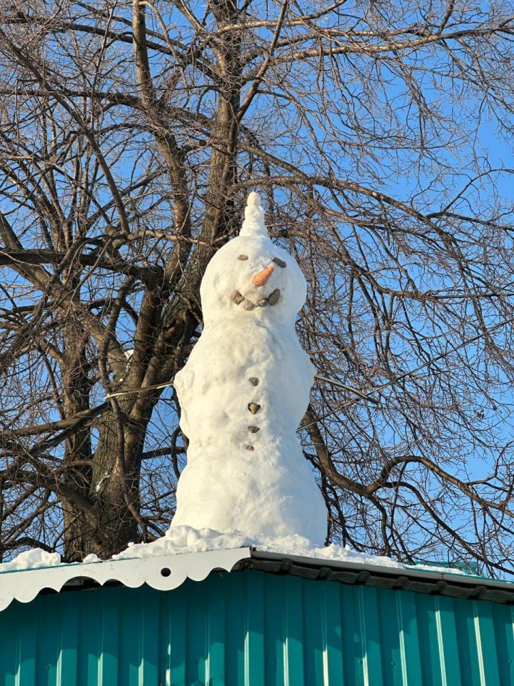 В Исергапове снеговик “забрался” на крышу