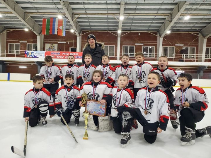 Бавлинская хоккейная команда в праздничные дни завоевала бронзу
