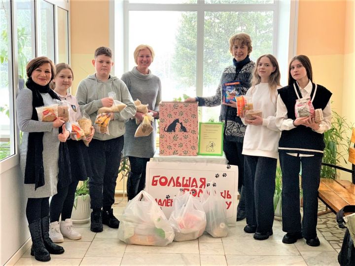 Бавлинские школьники помогают в сборе корма для бездомных животных