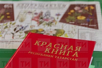 В Татарстане переиздадут Красную книгу