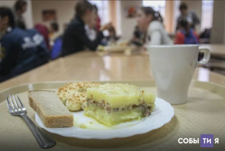 В 15 школьных столовых Татарстана обнаружены микробы в готовых блюдах