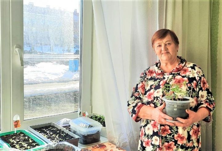 Бавлинка долгие годы занимается выращиванием рассады цветов у себя дома