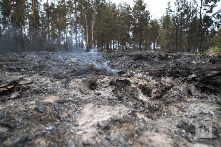 Сжигание хвороста и сухой травы в Татарстане перенесли с весны на осень