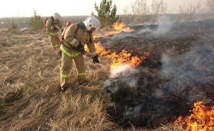 Россельхознадзор по РТ предупреждает: весенний пал ведет к неуправляемому распространению огня и уничтожению плодородного слоя почвы