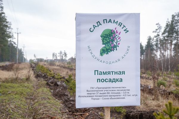 В России 18 марта будет дан старт акции «Сад памяти»