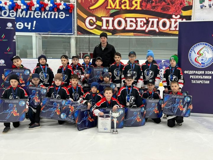 Бавлинские хоккеисты привезли серебро турнира на призы Федерации хоккея РТ