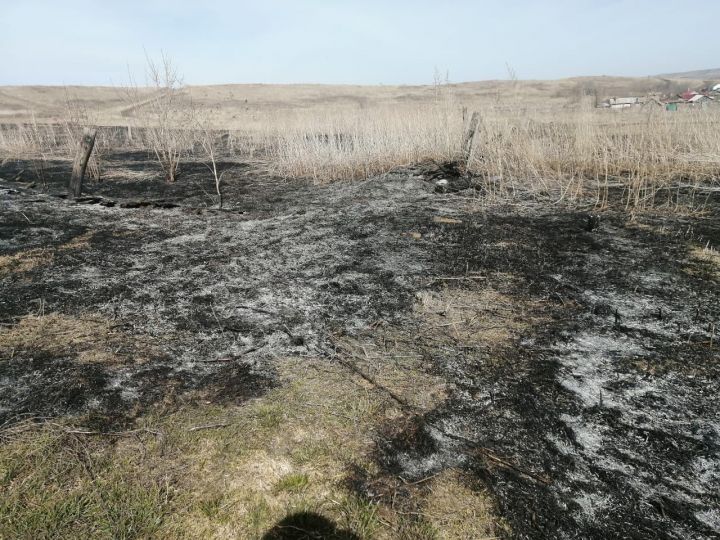 В бавлинской деревне загорелась трава