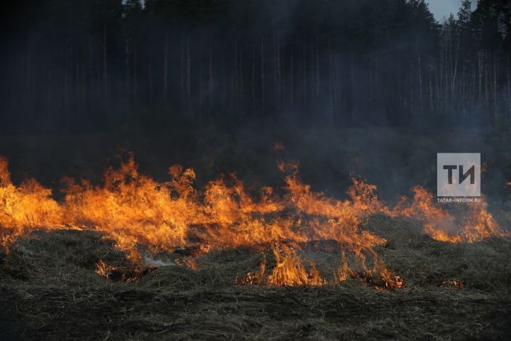 Благодаря введению особого противопожарного режима в РТ количество пожаров уменьшилось