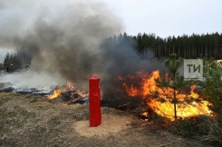 В Татарстане продлили период высокой пожарной опасности