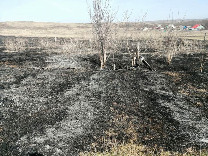 Бавлинцам напомнили о запрете выжигания сухой травы на землях сельхоз назначения