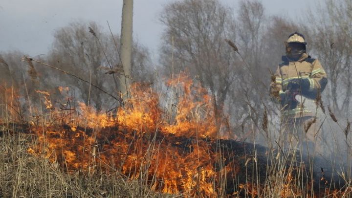 Отсутствие дождей в Татарстане привело к росту возгораний