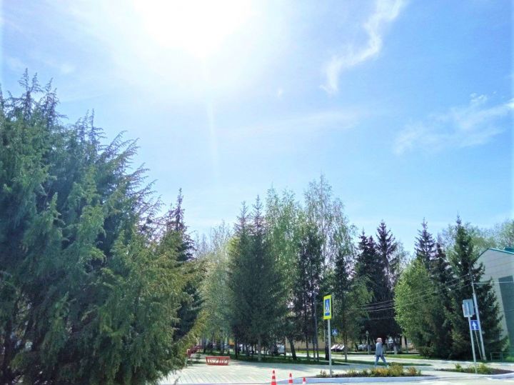 В пятницу в Бавлах будет ветреная погода