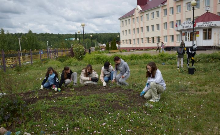 Баулы укучылары мәктәп яны практикасы үтә